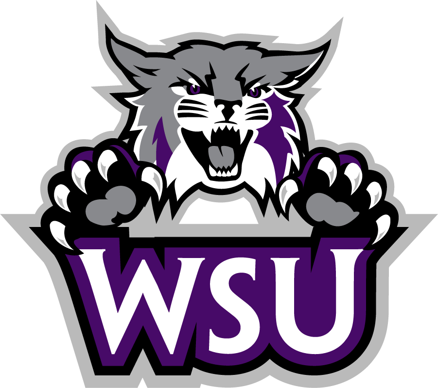 Weber State Wildcats 2012-Pres Secondary Logo iron on transfers for clothing